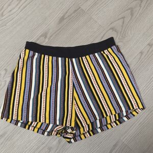 Zara Multicolor Striped Shorts